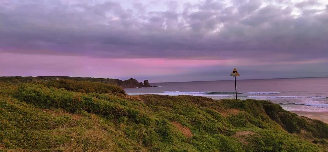 最大蜈蚣捕食,巨型蜈蚣捕食的全过程
