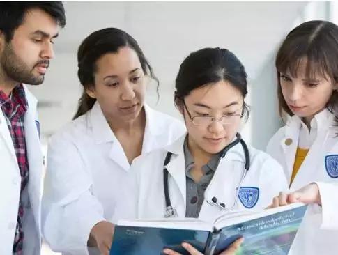 这所Top50大学，不要小文书，不要申请费，太幸福了吧！