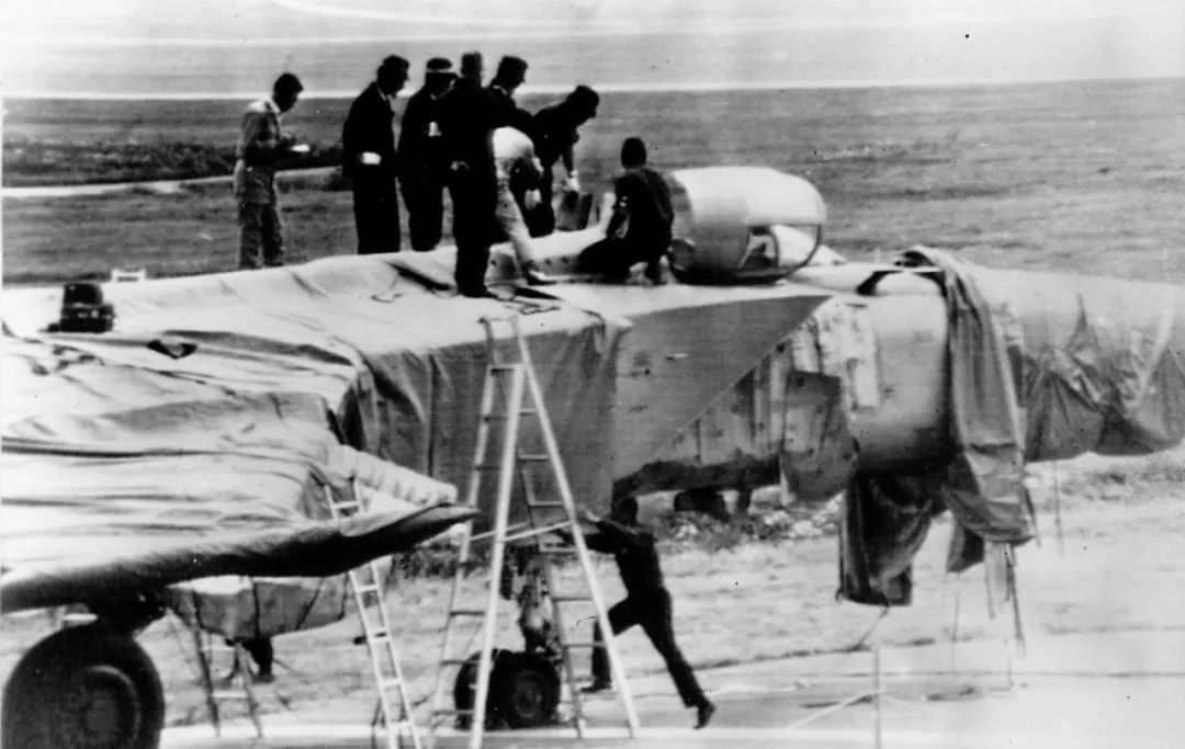 各国专业假想敌部队,美军假想敌陆军