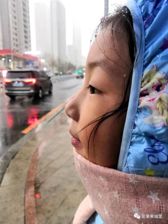 育儿知识的系统化教学,育儿教育大盘点