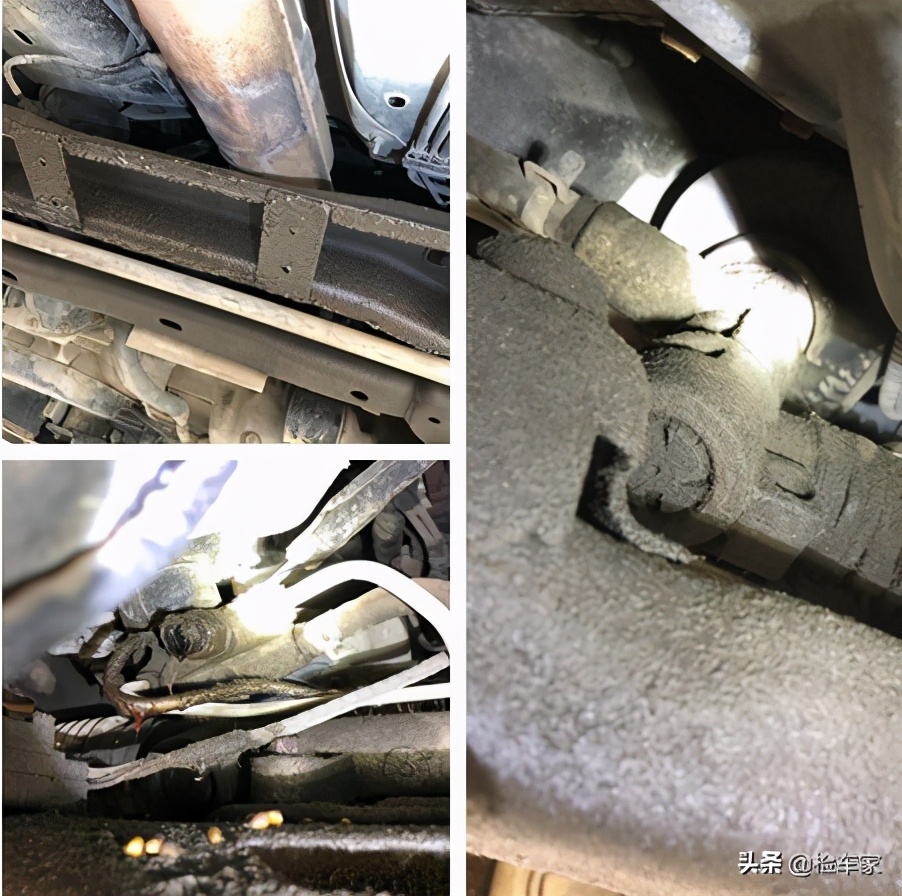 全国不过20台，老司机都叫不出名，大爷花5万买了台什么二手车