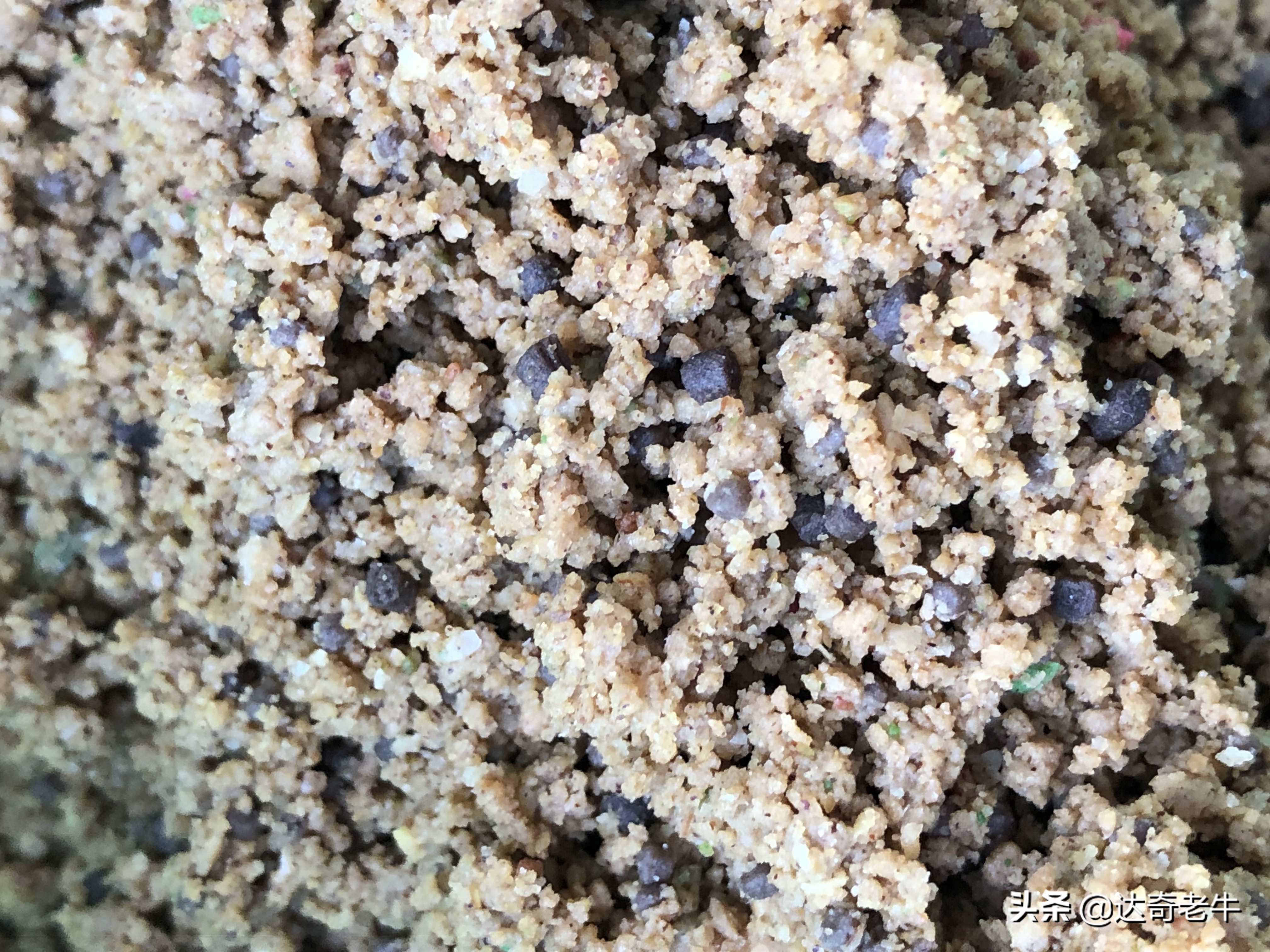 浮水颗粒喂鱼,怎么用浮水颗粒钓滑鱼