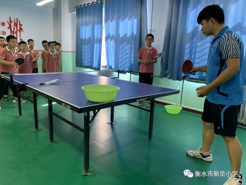 社团活动小学兴趣小组,新华小学三年级参加兴趣小组