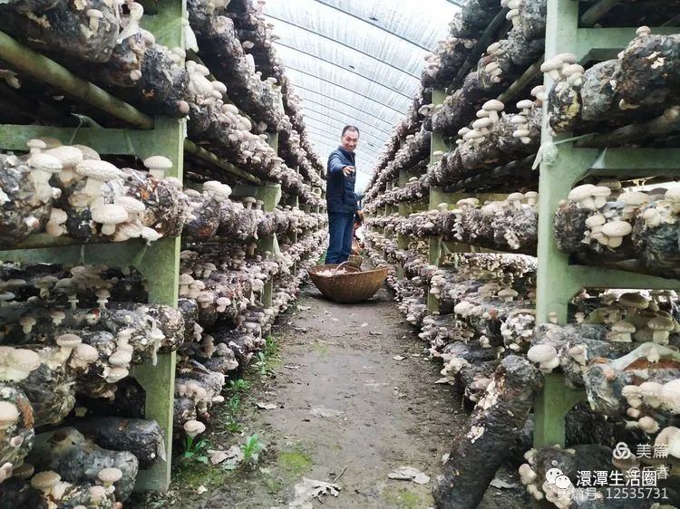 最美大浪山脚下蜂洞冲随州作者:王从伦