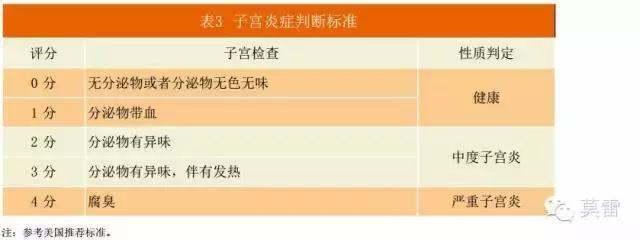 奶牛产后护理及注意事项,奶牛场产后护理如何做