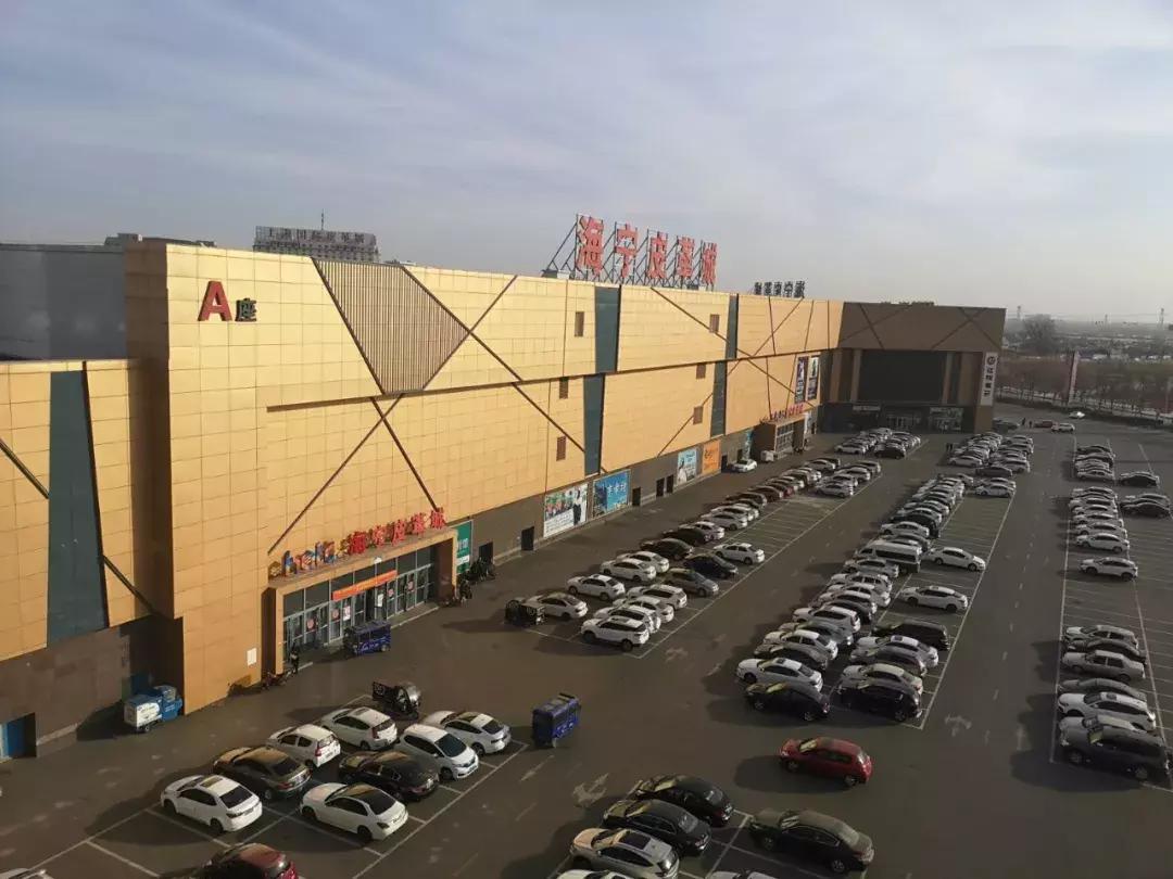 东北绝地求生战队,绝地求生鹤城