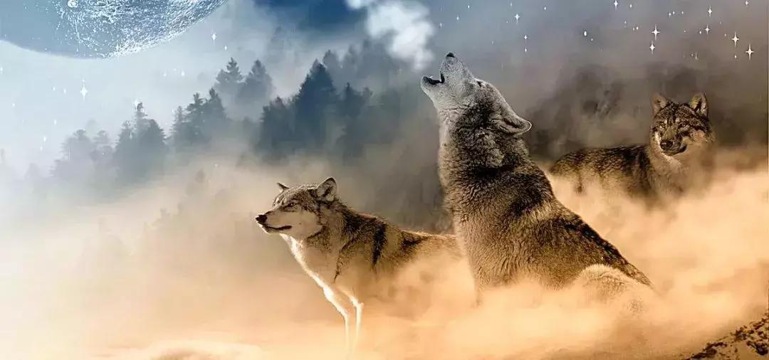 涓冨尮鐙间綋鐜扮殑闂藉晢绮剧,涓冨尮鐙间細淇濅綉鍦ㄥ鐨勭寤轰汉