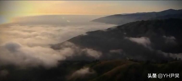 1998年美国海岸大批生物突发异样，专家共同侦查，真凶竟是天气