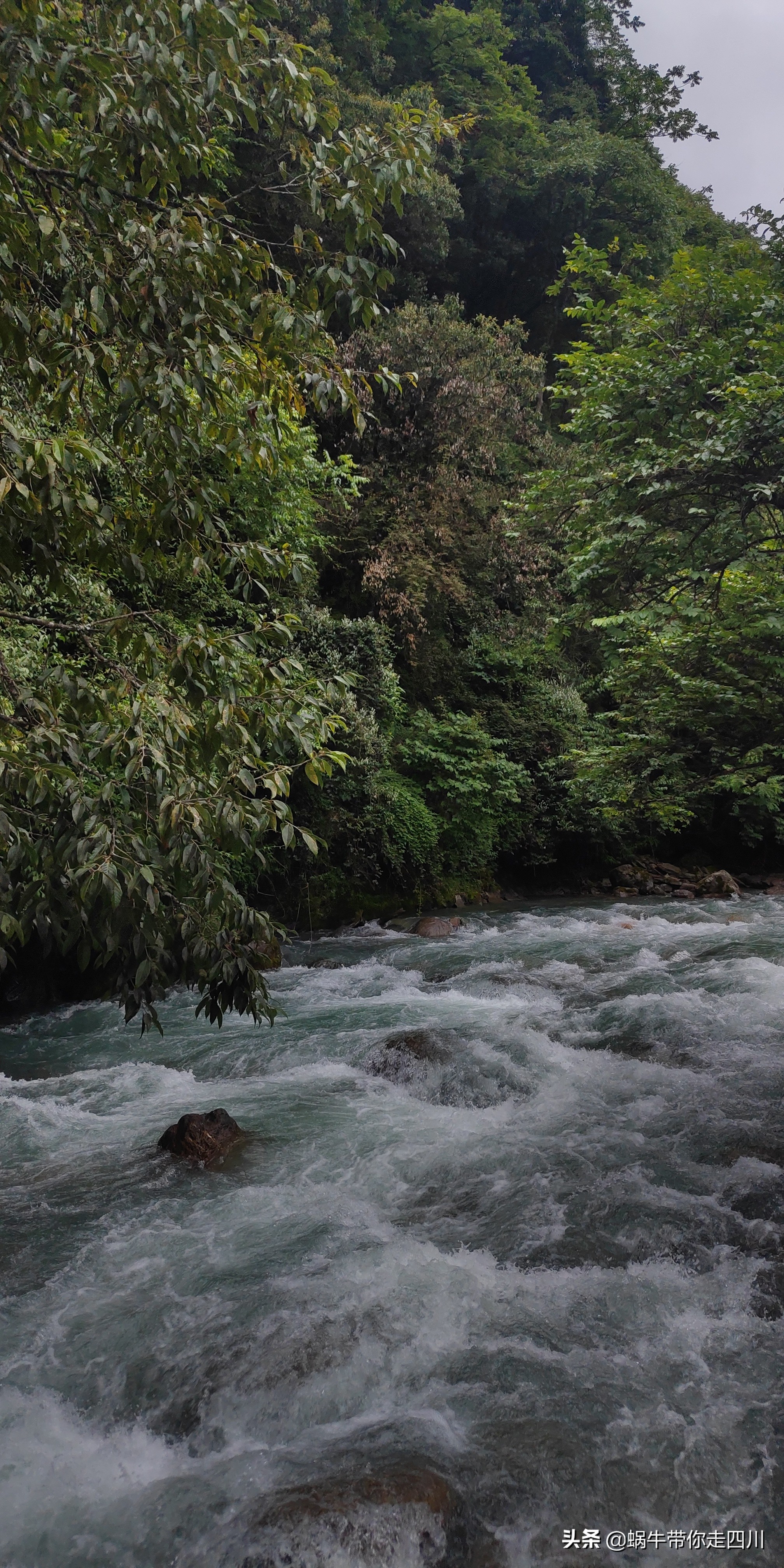 成都到西藏旅游一家三口,成都出发三天两夜旅行套票
