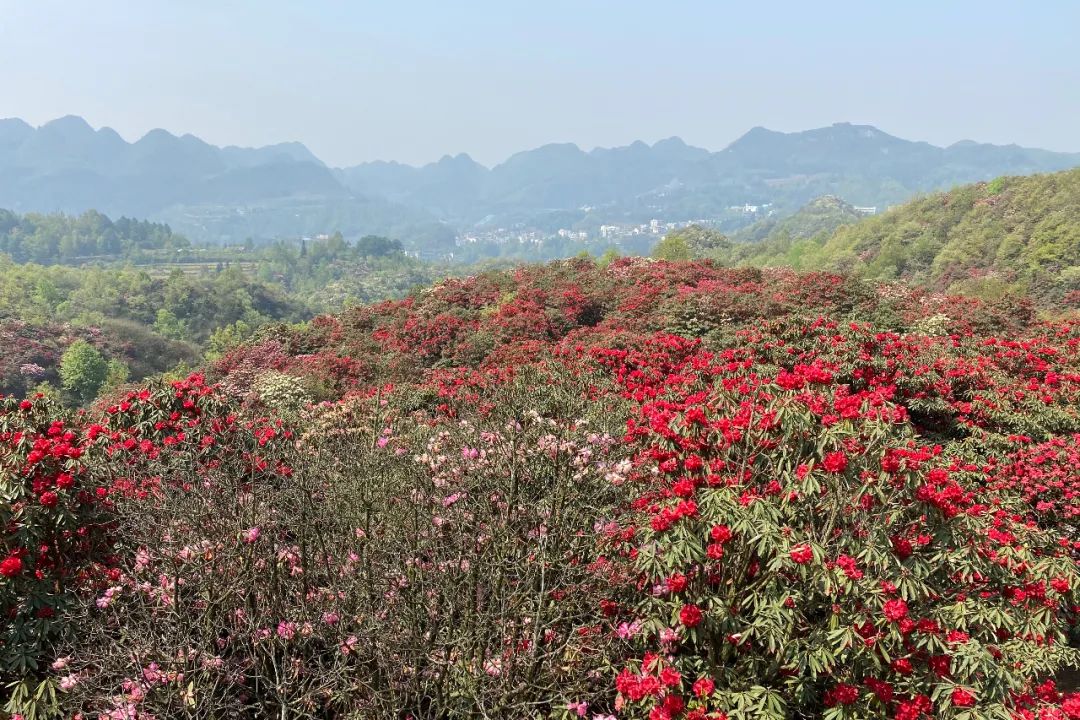 贵州有好多景点,贵州今年比较火的景点