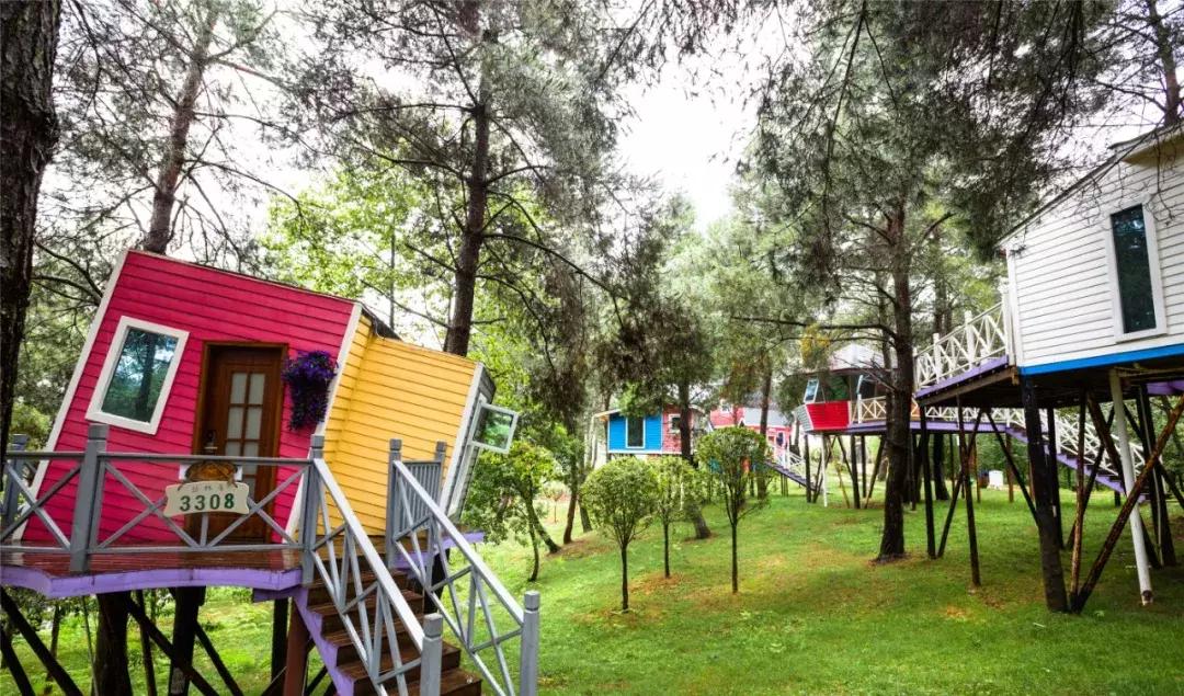 贵阳最快到达的“树屋王国”，一个童话照进现实的地方