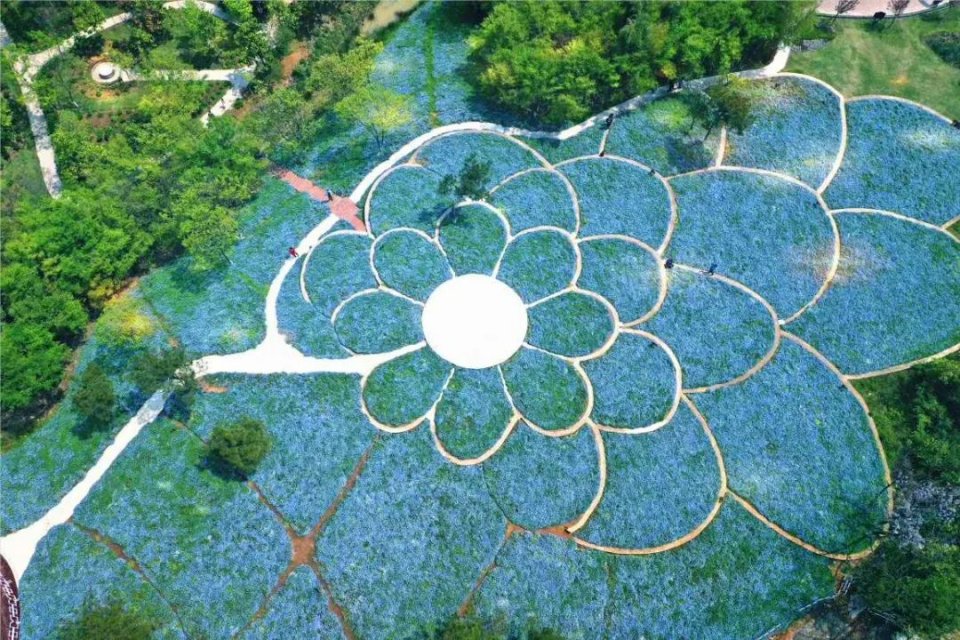 五一不能错过的花海,五一不能错过的美丽花海