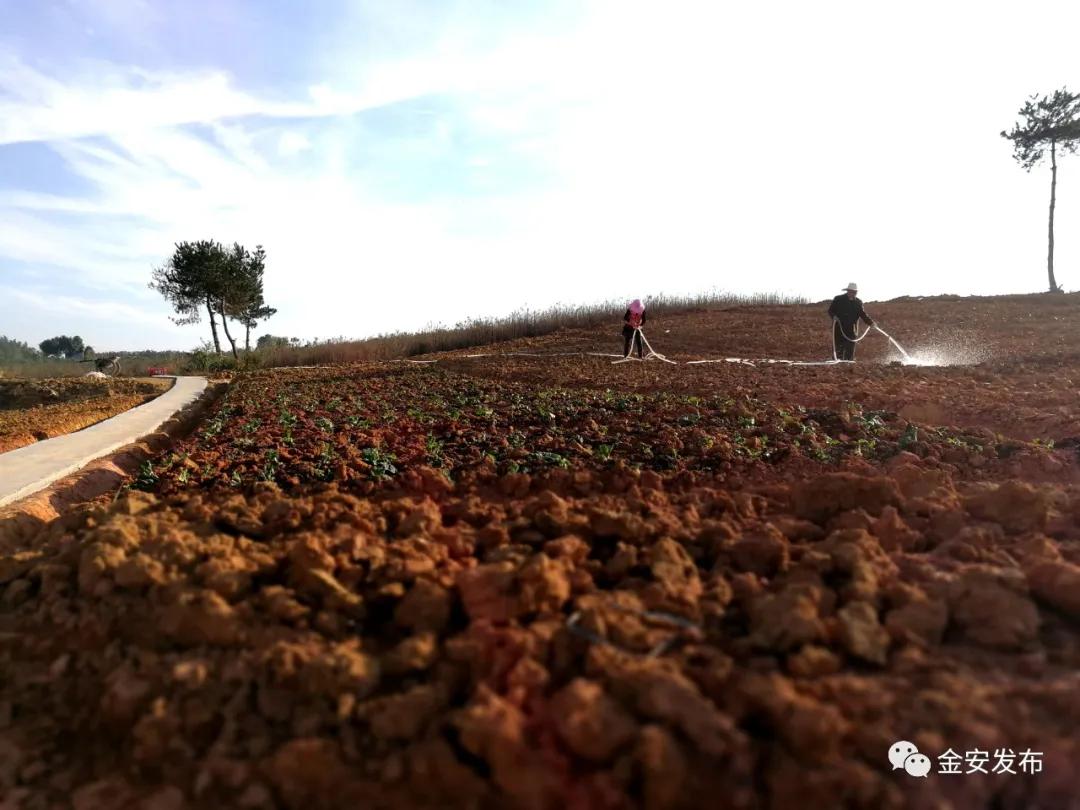 安徽六安旅游度假,六安悠然旅游度假区