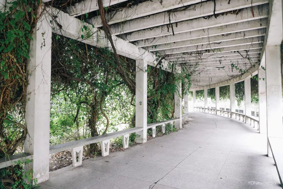 浠庢姹夋斁鍋囧洖瀹剁殑瀛︾敓,浠庢姹夊洖鏉ョ殑澶у鐢熶滑