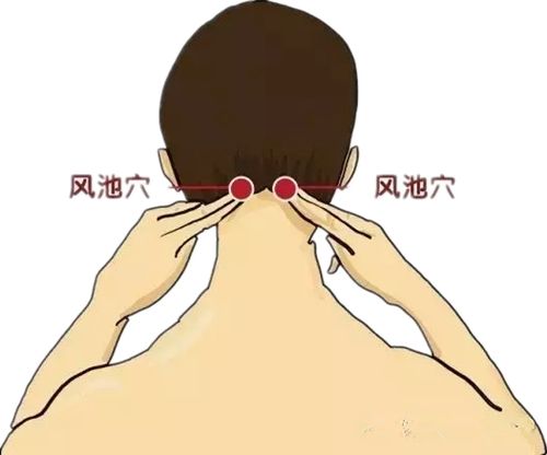 又到流感高发季这些知识要知晓,又热感冒又冷感冒怎么办