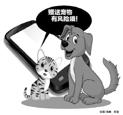 衡水人的抖音,衡水抖音最新消息