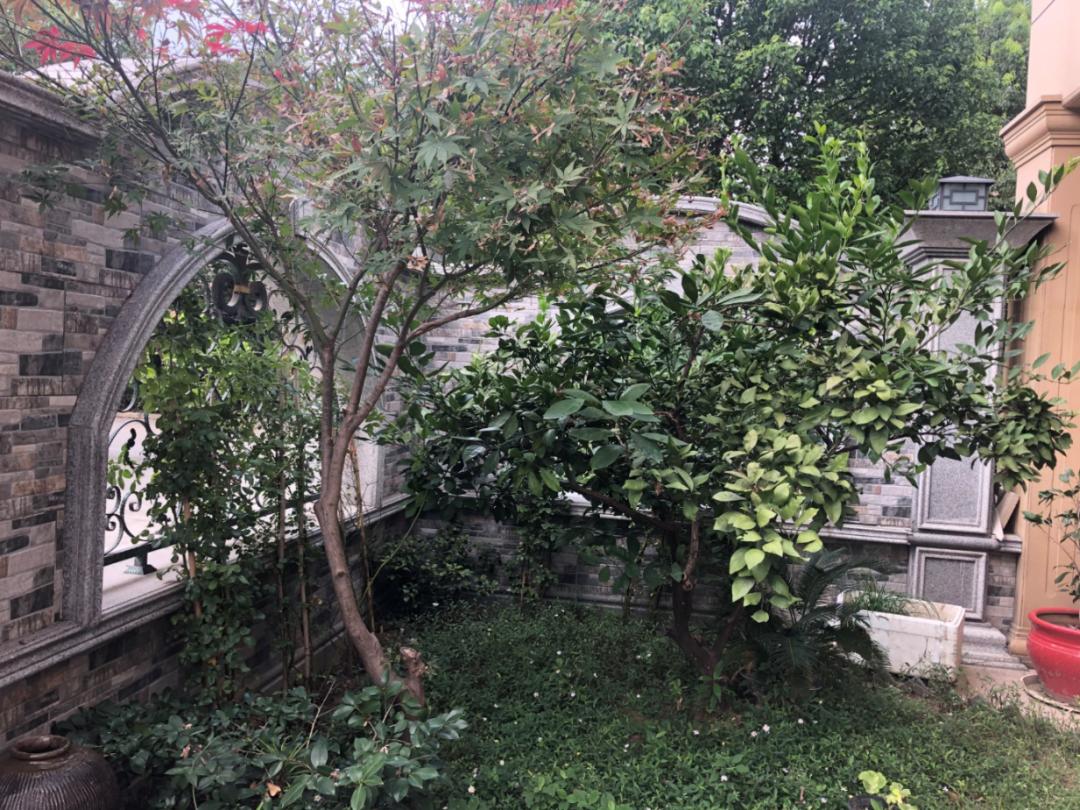 无锡江阴美丽田园,庭院深深美如画