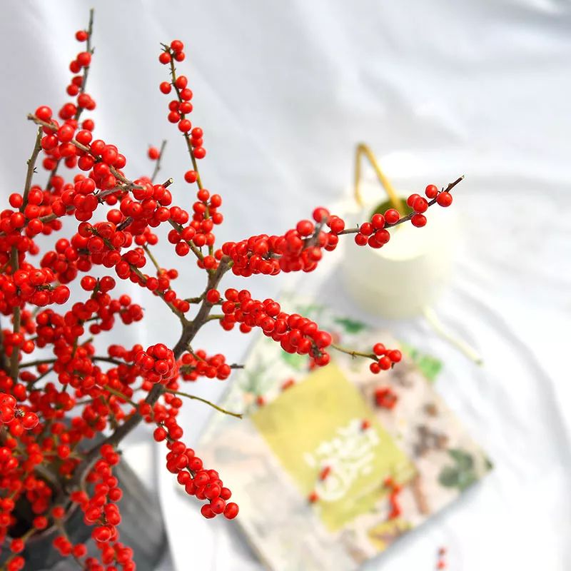 过年家里必摆的九道菜,过年家里摆的喜庆的物件