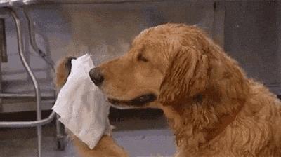 减肥技巧瘦全身,减肥技巧瘦全身儿童