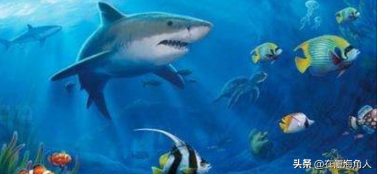 厦门旅游必去十大景点黄金沙滩,厦门旅游必去十大景点门票价格