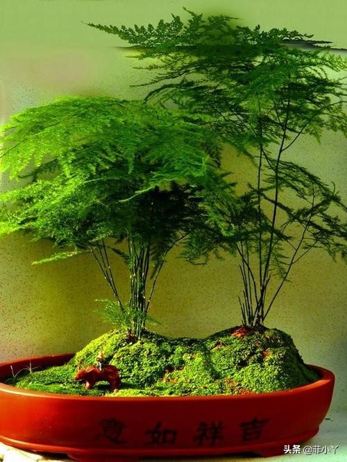 教师节送什么颜色的鲜花,教师节送花送什么颜色好