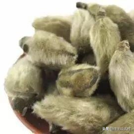 香料的正确使用方法和注意事项,卤水加桂皮的正确方法