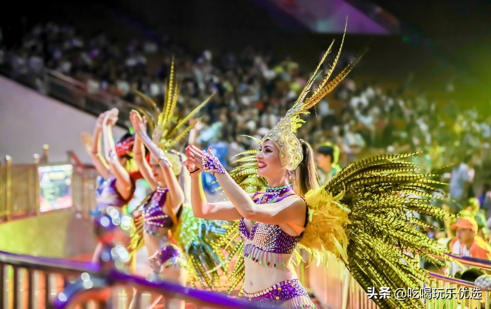 厦门灵玲动物王国大熊猫,厦门马戏团灵玲动物王国观光游览