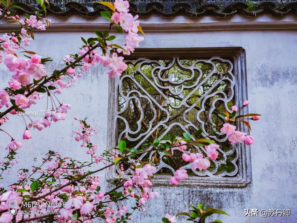 去苏州不能错过的地方,苏州最不能错过的古镇