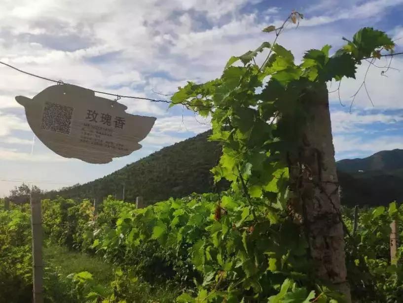 此生一定去要去的地方,此生一定要去这个地方