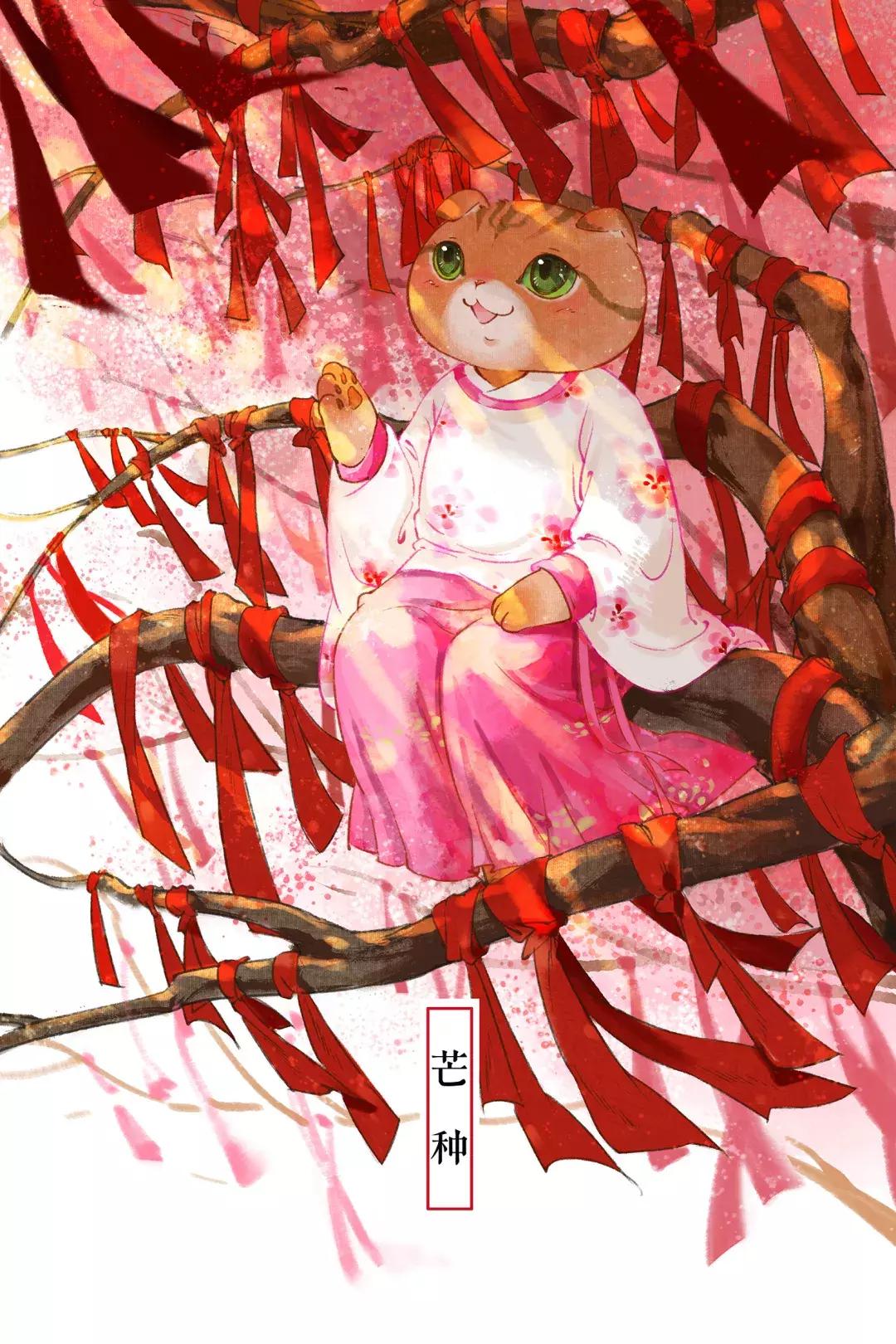 马未都说观复猫,马未都的观复猫视频