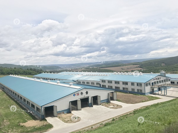 中国乳业阿米巴标杆访学-跟随和英阿米巴，走进牡丹江红星乳业