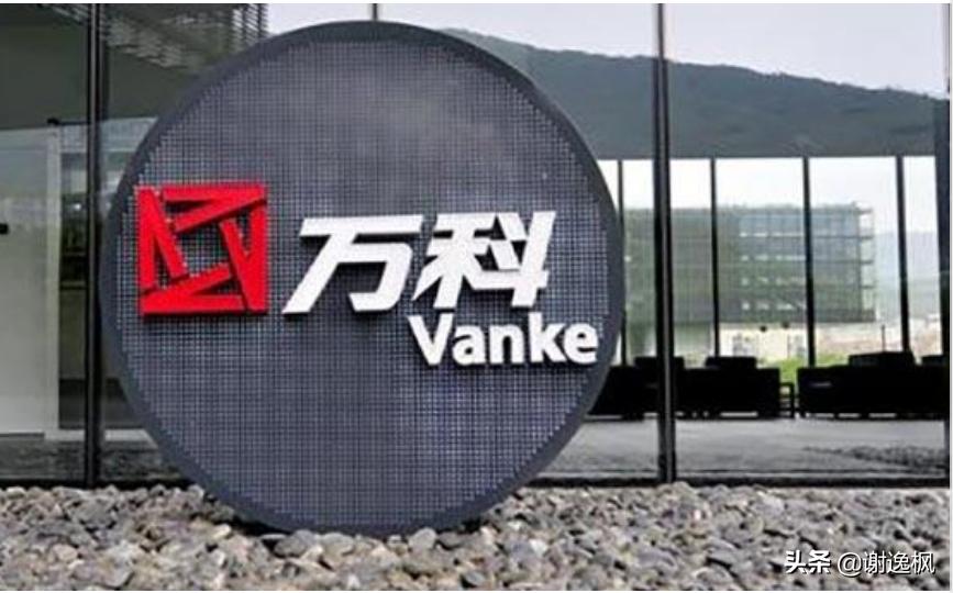 谢逸枫看楼市,谢逸枫最后怎么样了