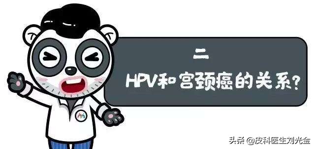 几乎所有宫颈癌都是由hpv感染的吗,hpv宫颈癌是什么