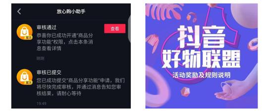 抖音小程序电商平台,抖音电商都有哪些小程序