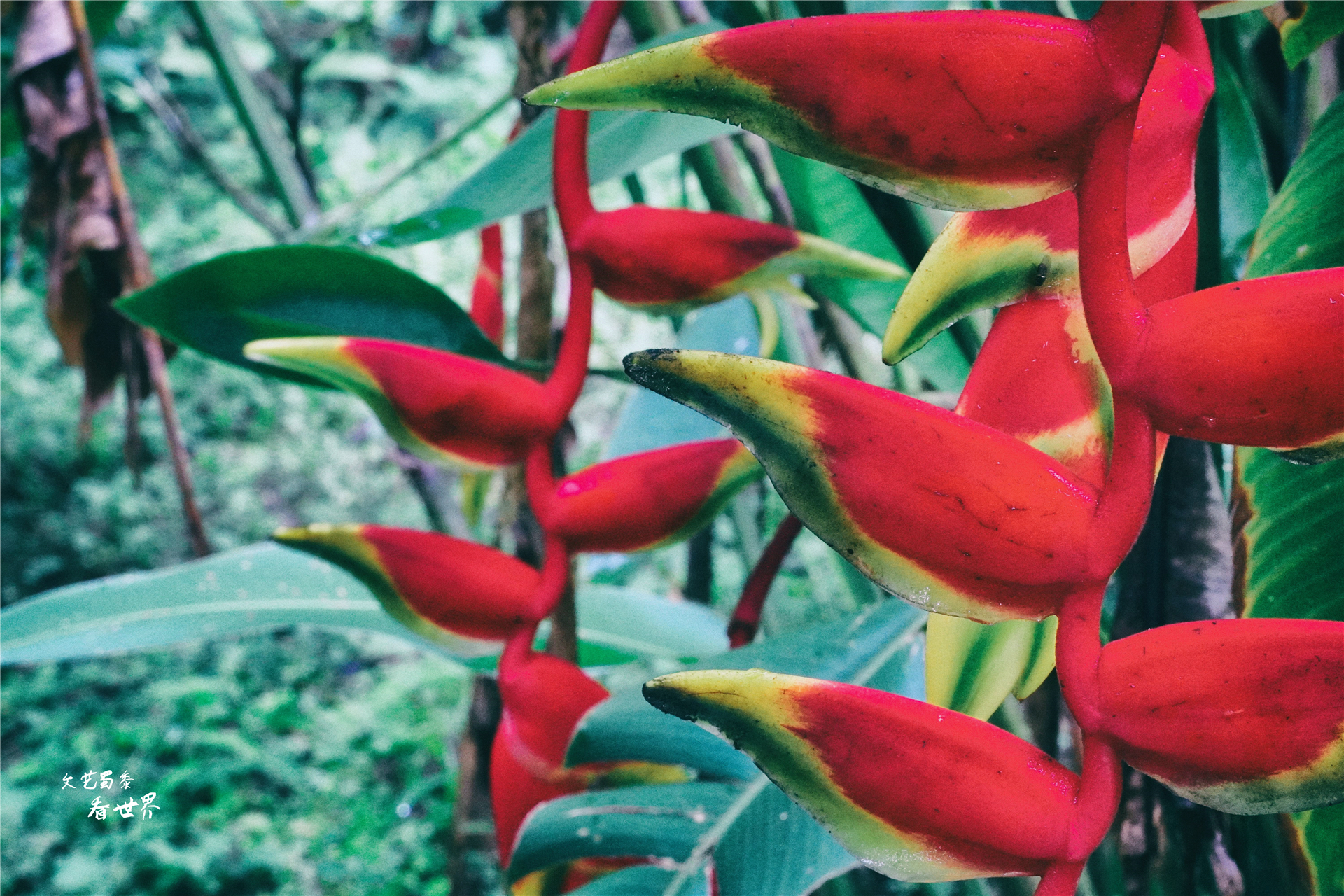 云南比大理丽江还适合养老的地方,云南冬天最适合养老的地方是哪里