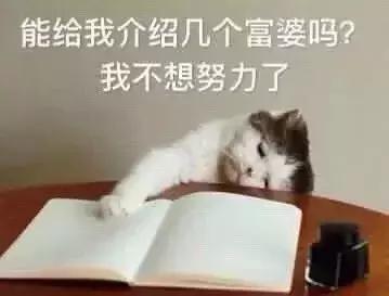 同一件衣服网上卖的价格不一样,网红店衣服真相