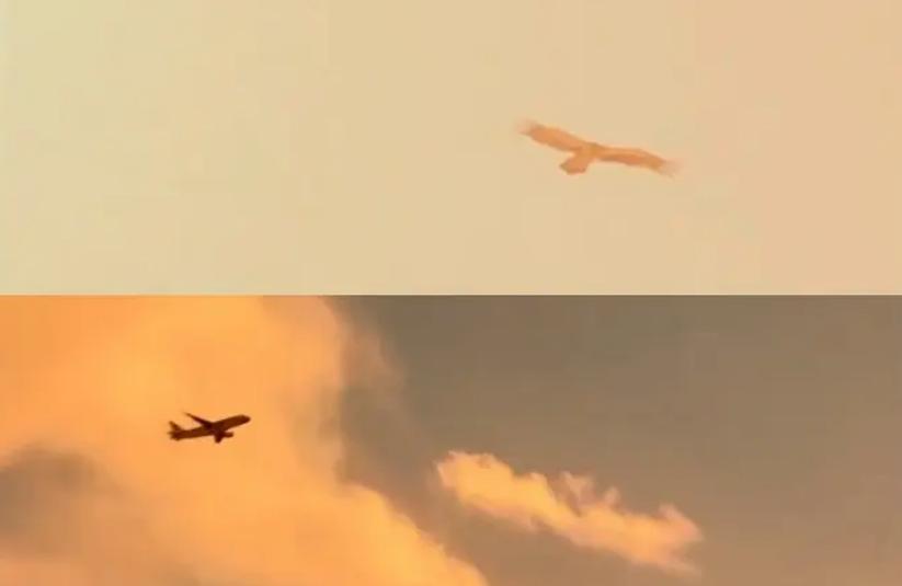 经典西部片复仇,一部被严重低估的西部复仇片