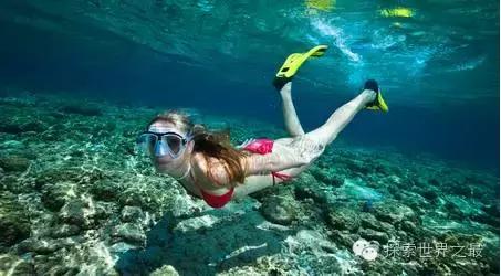 全球惊艳的10个海底世界，看到第一个就想出发！