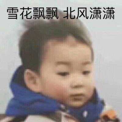 稳居文案,适合发朋友圈的憨憨文案