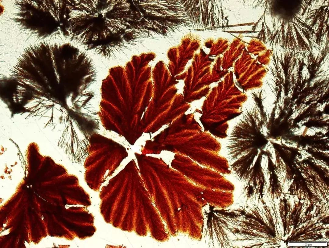 绉戠爺澹佺焊,绉戠爺浜虹殑鏂板勾澹佺焊