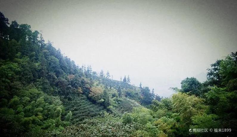 骆崃山景点,骆崃山门票