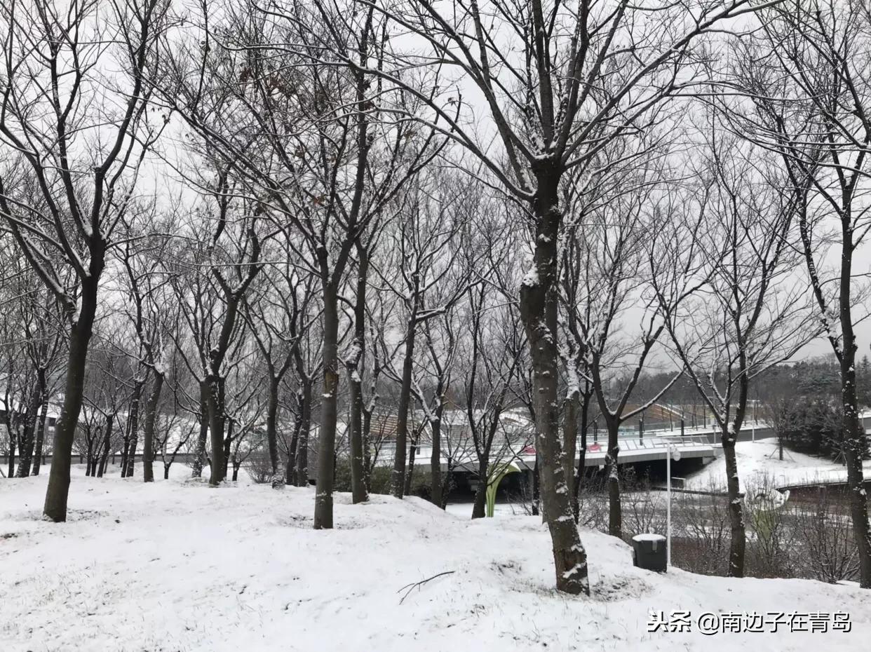 画说青岛：错过的赏雪佳境，玉山亘野，琼林分道
