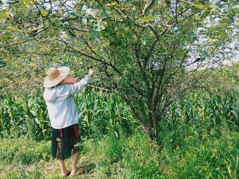 老罗垂钓现场,老罗垂钓园在哪