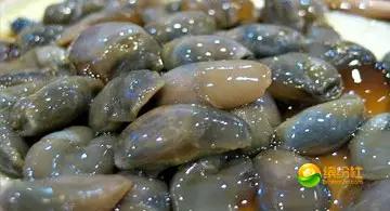 舟山海鲜攻略2天3晚吃什么,舟山海鲜代加工攻略