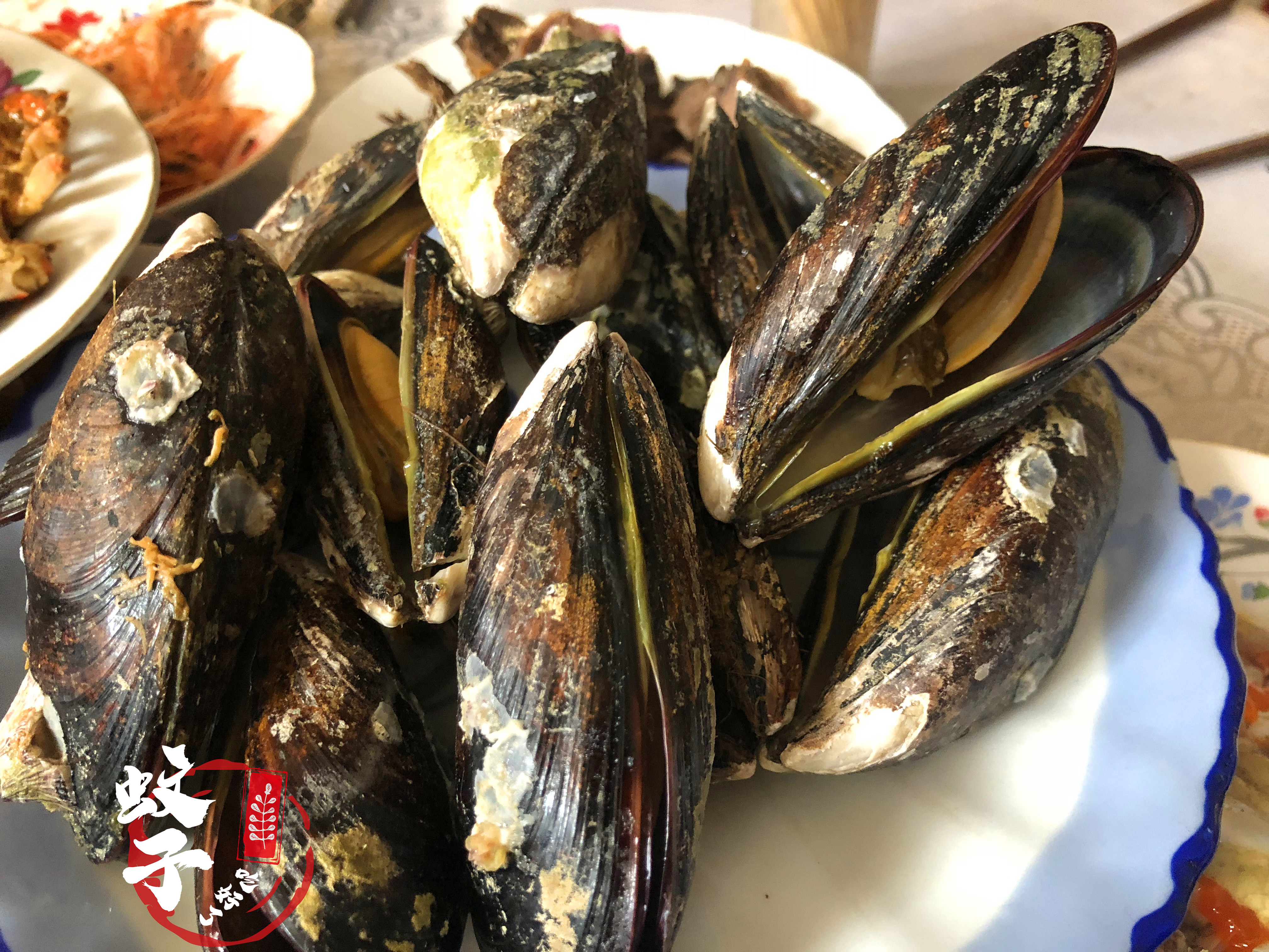 因为各种贝类美食，甘愿远嫁离陆地7小时船程的小岛