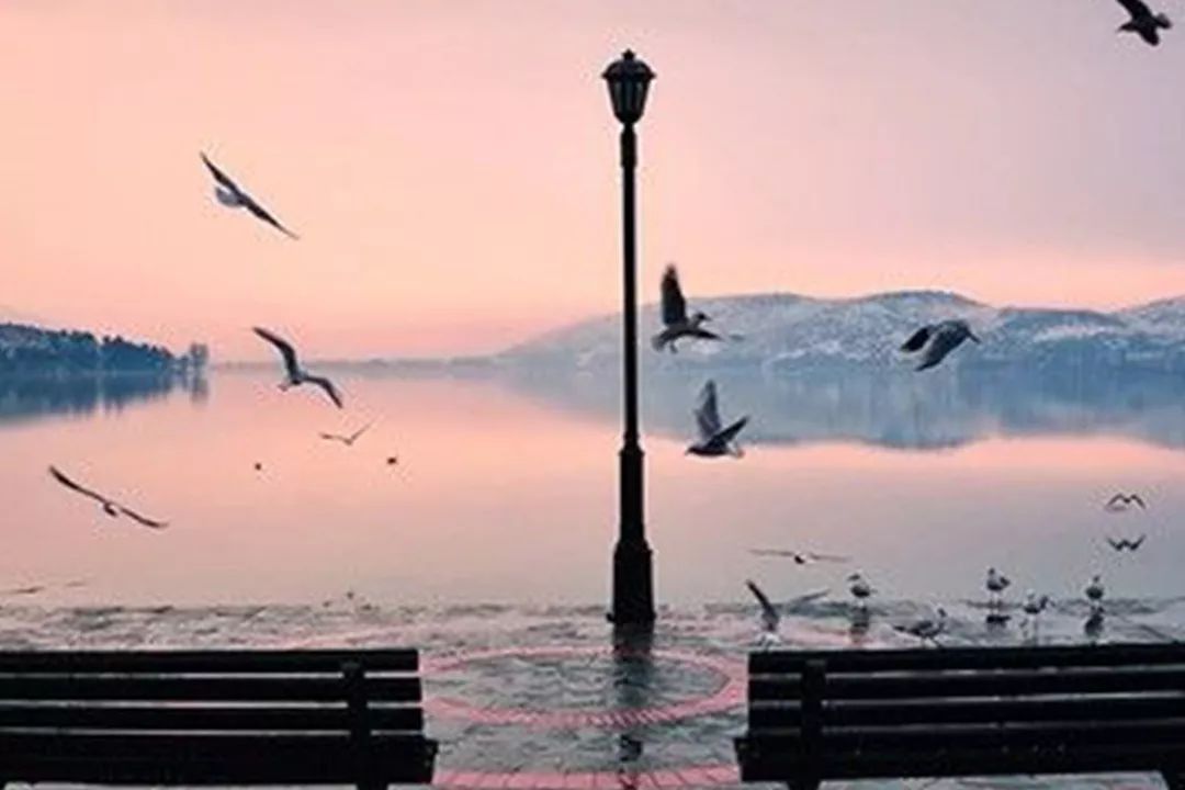 不要拿兼职跟我比服务，顺路也不配跟我聊速度