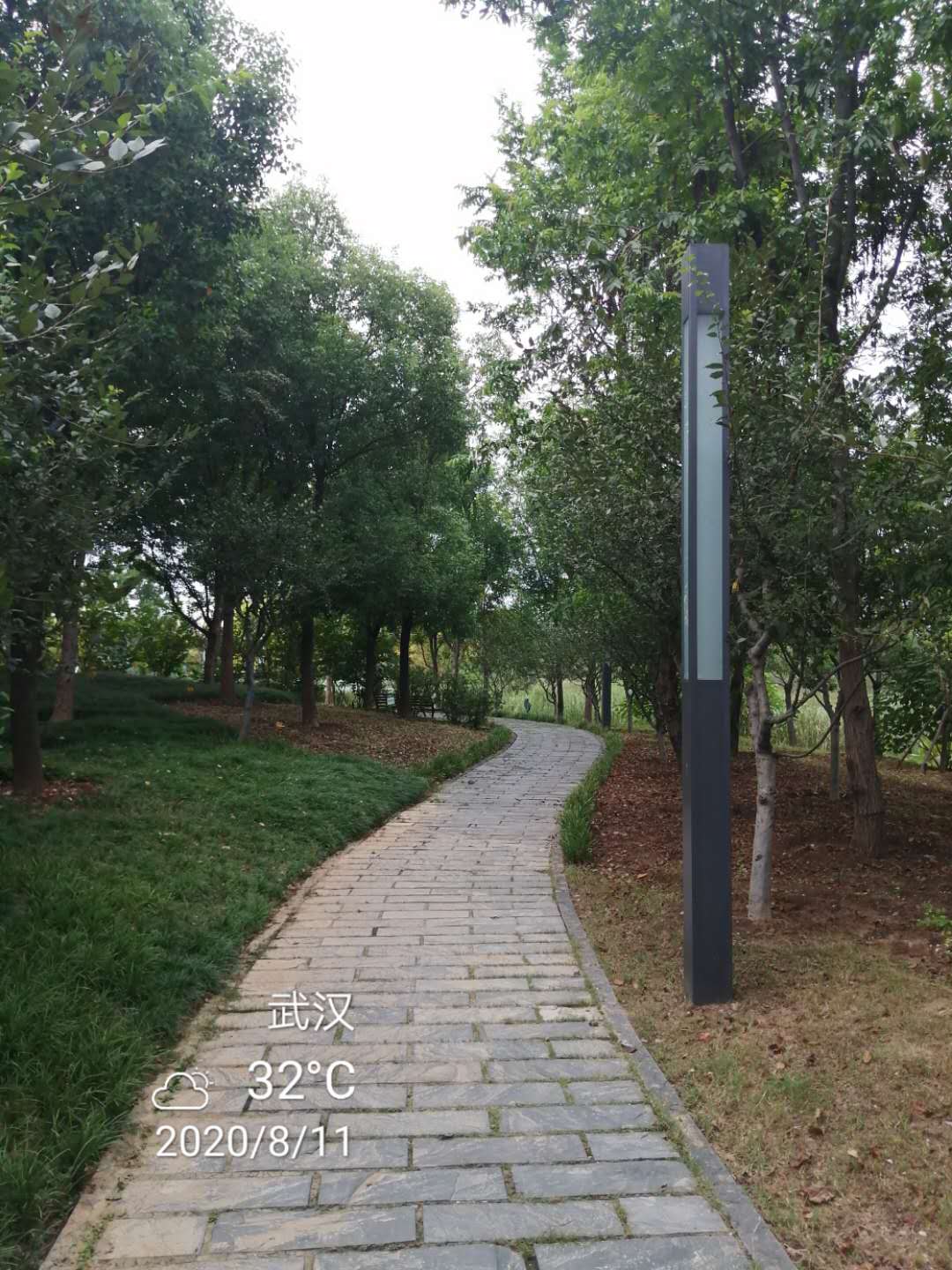 武汉东湖风景区治愈系风景,武汉东湖景色