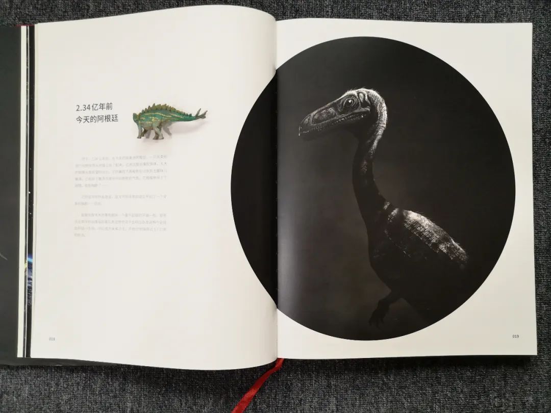 适合孩子看的恐龙科普书,适合5岁孩子看的恐龙科普书