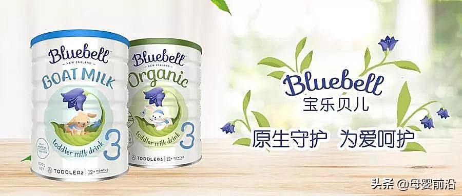 宝乐贝儿年度盘点：手握两大明星产品，以品质收获消费者信任