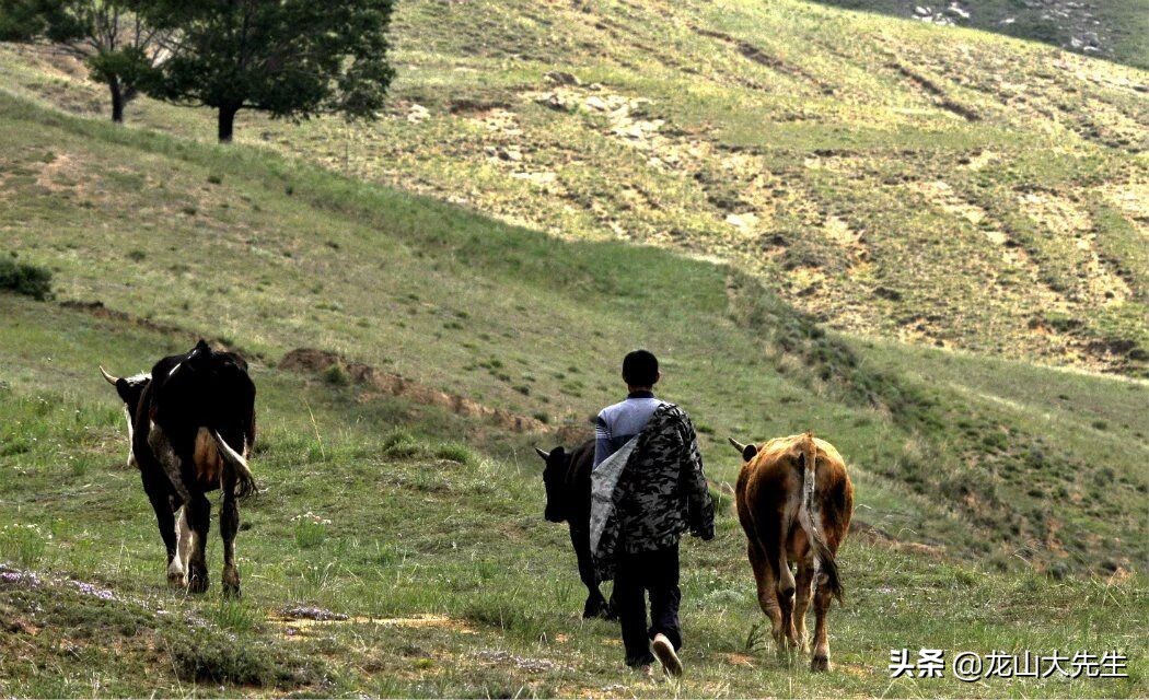 深度还原大同方言,大同方言集合